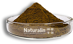 紫錐菊提取物